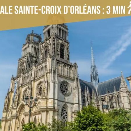 Le Bourgogne-Hypercentre Apartment Orleans Ngoại thất bức ảnh