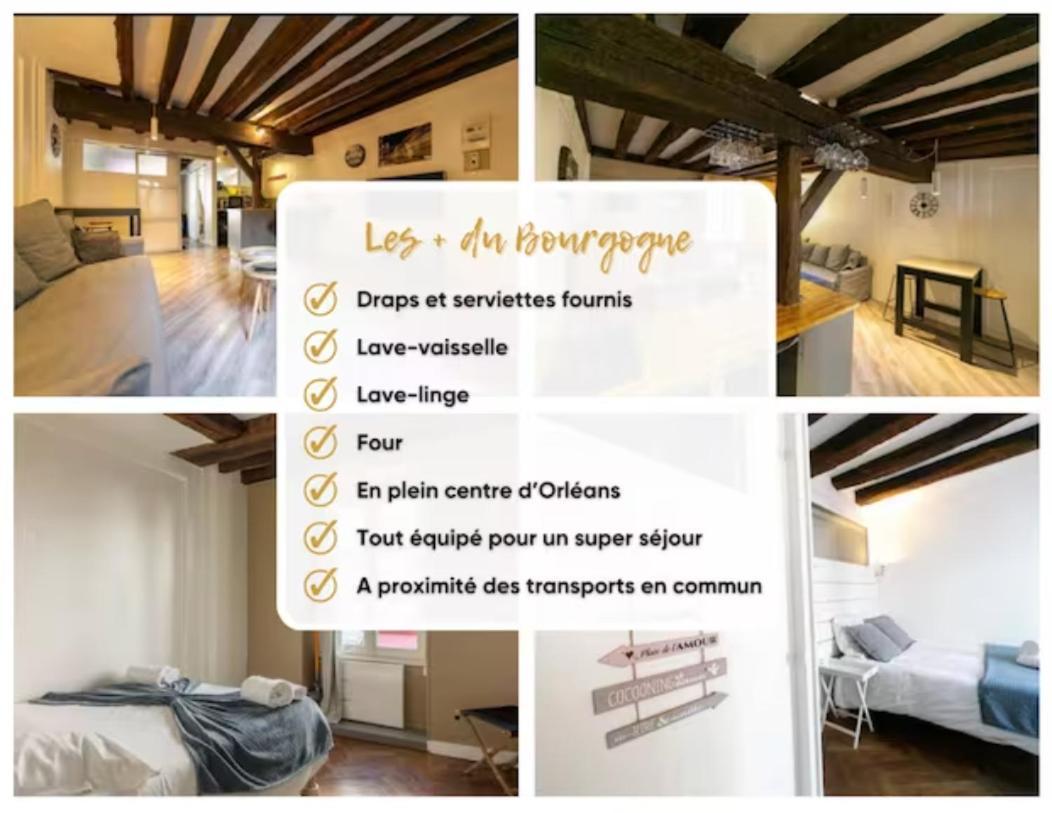 Le Bourgogne-Hypercentre Apartment Orleans Ngoại thất bức ảnh
